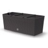 Prosperplast Truhlík RATO CASE umbra 60cm Prosperplast Truhlík RATO CASE umbra 60cm