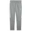 Puma Team Evostripe 659948-33 Puma Team Evostripe 659948-33
