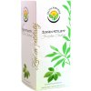 Ženšen päťlistý - 20 x 1 g - čajové sáčky - Gynostemma pentaphyllum - Jiaogulan Thailand Ženšen päťlistý - 20 x 1 g - čajové sáčky - Gynostemma pentaphyllum - Jiaogulan Thailand