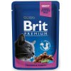 Brit Premium Cat with Chicken and Turkey 100 g Brit Premium Cat with Chicken and Turkey 100 g