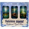 Regent 12 Ryby Zimný pack 6x plechovka 0,5l Regent 12 Ryby Zimný pack 6x plechovka 0,5l