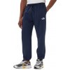 The North Face Simple Dome Regular Tapered Jogger Summit Navy