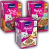 Vitakraft Poesie Creation mix príchutí v omáčke 85 g Vitakraft Poesie Creation mix príchutí v omáčke 85 g