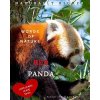 Red Panda (KATARINA GARNETT)(Brožovaná) Red Panda (KATARINA GARNETT)(Brožovaná)