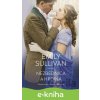 E-kniha Nezbednica a hrdina - Emily Sullivan E-kniha Nezbednica a hrdina - Emily Sullivan