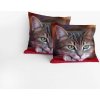 INSPIO Obliečka na vankúš - Mačka 40x40 zvieratá čierna, červená, sivá INSPIO Obliečka na vankúš - Mačka 40x40 zvieratá čierna, červená, sivá