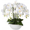 Orchidea biela v kvetináči, 54cm (Umelá kvetina) Orchidea biela v kvetináči, 54cm (Umelá kvetina)
