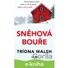 E-kniha Sněhová bouře - Tríona Walsh E-kniha Sněhová bouře - Tríona Walsh