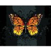 Diamondi Diamantové maľovanie - ORANŽOVÝ MOTÝĽ NA ČIERNOM POZADIÍ Rámovanie: vypnuté plátno na rám, Rozmer: 40x50 cm Diamondi Diamantové maľovanie - ORANŽOVÝ MOTÝĽ NA ČIERNOM POZADIÍ Rámovanie: vypnuté plátno na rám, Rozmer: 40x50 cm