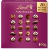 Lindt Mini pralines 100 g Lindt Mini pralines 100 g