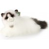 mačka Ragdoll ekologická 35 cm mačka Ragdoll ekologická 35 cm