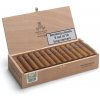 MONTECRISTO Petit EDMUNDO (25ks) MONTECRISTO Petit EDMUNDO (25ks)
