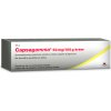 Capsagamma 53 mg/100 g krém crm. 1 x 40 g Capsagamma 53 mg/100 g krém crm. 1 x 40 g