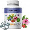 MycoMedica MULTIcell, Multivitamín, 90 rastlinných kapsúl MycoMedica MULTIcell, Multivitamín, 90 rastlinných kapsúl