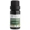 Nobilis Tilia Ylang - Ylang éterický olej Objem: 5 ml Nobilis Tilia Ylang - Ylang éterický olej Objem: 5 ml