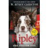 Ripley: Fire Station Five Ripley: Fire Station Five