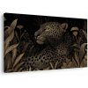 Obraz leopard v nočnej džungli Obraz leopard v nočnej džungli