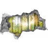 Diera 3D foto tapeta nálepka Forest na slnku 95x73 cm Diera 3D foto tapeta nálepka Forest na slnku 95x73 cm