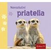 Nerozluční priatelia - autor neuvedený Nerozluční priatelia - autor neuvedený