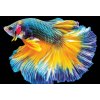 Interdruk - Puzzle Ryby - 250 dielov Interdruk - Puzzle Ryby - 250 dielov