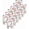 Royal Canin VHN Hepatic 12 x 420 g