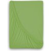 Kvalitex Jersey prestieradlo s lycrou 180 × 200 cm, svetlo zelené Kvalitex Jersey prestieradlo s lycrou 180 × 200 cm, svetlo zelené