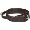 Kožený obojok pre psov s úchytom SOFT | SmartZoo | 5 x 75 cm (55 - 68 cm) | hnedá Kožený obojok pre psov s úchytom SOFT | SmartZoo | 5 x 75 cm (55 - 68 cm) | hnedá