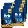 Brit Premium Cat Salmon & Trout 12 x 100 g