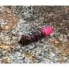 FISHUP Pupa 1,2 FISHUP Pupa 1,2