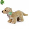 Plyšový pes labrador 20 cm ECO-FRIENDLY Plyšový pes labrador 20 cm ECO-FRIENDLY