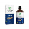 Green idea Ženšen - bezlihová tinktura 100 ml Green idea Ženšen - bezlihová tinktura 100 ml