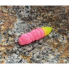 FISHUP Pupa 1,2 FISHUP Pupa 1,2