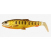 Savage Gear Nástraha Craft Cannibal Paddletail 8,5cm 7g Dirty Roach Savage Gear Nástraha Craft Cannibal Paddletail 8,5cm 7g Dirty Roach
