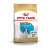 Granule pre psa - Royal Canin Jack Russell Terrier Puppy 3 kg (Royal Canin Jack Russell Terrier Puppy 3 kg)