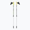 Palice na nordic walking LEKI Walker XS zelené 65326531 Palice na nordic walking LEKI Walker XS zelené 65326531