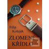Zlomené křídlo (Filip Koleják) Zlomené křídlo (Filip Koleják)