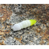 FISHUP Pupa 1,2 FISHUP Pupa 1,2