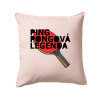 Ping Pongová legenda - Vankúš 50x50 - 50x50 - Vrátane výplne ( Svetloružová ) Ping Pongová legenda - Vankúš 50x50 - 50x50 - Vrátane výplne ( Svetloružová )