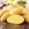 Sadbové zemiaky Cilena - Solanum tuberosum - 10 ks Sadbové zemiaky Cilena - Solanum tuberosum - 10 ks