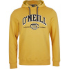 O'Neill SURF STATE HOODIE žltá,čierna Pánska mikina M O'Neill SURF STATE HOODIE žltá,čierna Pánska mikina M