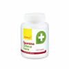 Wolfberry Guarana+zelená káva kapsle 120 ks Wolfberry Guarana+zelená káva kapsle 120 ks