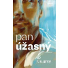 Pan Úžasný - R. S. Grey Pan Úžasný - R. S. Grey
