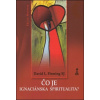 Čo je ignaciánska spiritualita? Čo je ignaciánska spiritualita?