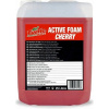 Turtle Wax Aktívna pena R04 - Cherry 25 l 10039 Turtle Wax Aktívna pena R04 - Cherry 25 l 10039