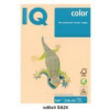 Výkres farebný A4 IQ 160g lososový Výkres farebný A4 IQ 160g lososový