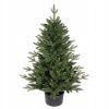 ROY Vianočný stromček smrek Bergamo 3D v kvetináči zelený 80 cm ROY Vianočný stromček smrek Bergamo 3D v kvetináči zelený 80 cm