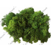 Islandský aranžérsky mach 30g - trávový zelený Islandský aranžérsky mach 30g - trávový zelený