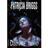 Dlouhé ticho - Briggs Patricia Dlouhé ticho - Briggs Patricia