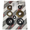 BEARING WORX OSK90155 BEARING WORX SET (SADA) TESNENÍ MOTORA YAMAHA YFM 350 RAPTOR '04-'13, YFM 350 WARRIOR '87 BEARING WORX OSK90155 BEARING WORX SET (SADA) TESNENÍ MOTORA YAMAHA YFM 350 RAPTOR '04-'13, YFM 350 WARRIOR '87