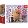 TREFL Roztomilá zvířátka: Zvědavé štěně 54 dielov TREFL Roztomilá zvířátka: Zvědavé štěně 54 dielov